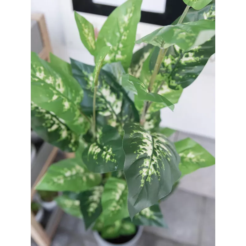 EUROPALMS Dieffenbachia Kunstpflanze 120cm 82508306