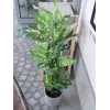 EUROPALMS Dieffenbachia Kunstpflanze 120cm 82508306