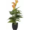 EUROPALMS Calla mini Kunstpflanze, Gelb-Orange, 43 cm 82540346