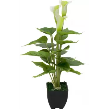 EUROPALMS Calla mini Künstliche Calla-Lilie Pflanze, Weiß, 43 cm 82540347