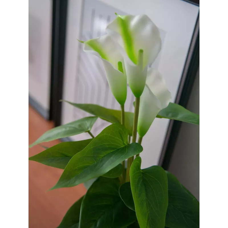 EUROPALMS Calla mini Künstliche Calla-Lilie Pflanze, Weiß, 43 cm 82540347