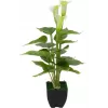 EUROPALMS Calla mini Künstliche Calla-Lilie Pflanze, Weiß, 43 cm 82540347
