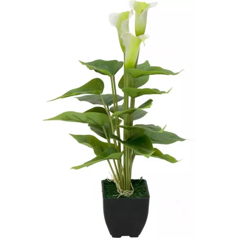 EUROPALMS Calla mini Künstliche Calla-Lilie Pflanze, Weiß, 43 cm 82540347