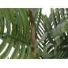 EUROPALMS Kentia Palme Kunstpflanze 140cm 82511361