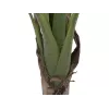 EUROPALMS Künstliche Bananenpflanze, 100cm, Grüne Blätter, Schwarzer Topf 82509503