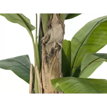 EUROPALMS Künstlicher Bananenbaum, 170cm, Grüne Blätter, Schwarzer Topf 82509539
