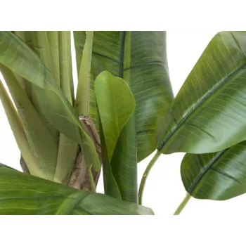 EUROPALMS Künstlicher Bananenbaum, 170cm, Grüne Blätter, Schwarzer Topf 82509539