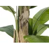 EUROPALMS Künstlicher Bananenbaum, 170cm, Grüne Blätter, Schwarzer Topf 82509539