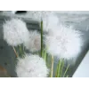 EUROPALMS Künstliche Löwenzahnblume, 107cm, Weiß 82600133
