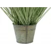 EUROPALMS Künstliches Ziergras, 65 cm, Grün, Schwarzer Topf 82600145