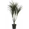EUROPALMS Künstliche Dracaena-Pflanze, Grün-Rot, 90cm 82505778