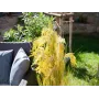 EUROPALMS Künstliches Schilfgras-Bündel, 118 cm 82600136