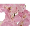 EUROPALMS Orchid Arrangement (EVA), künstlich, violett (82530339)