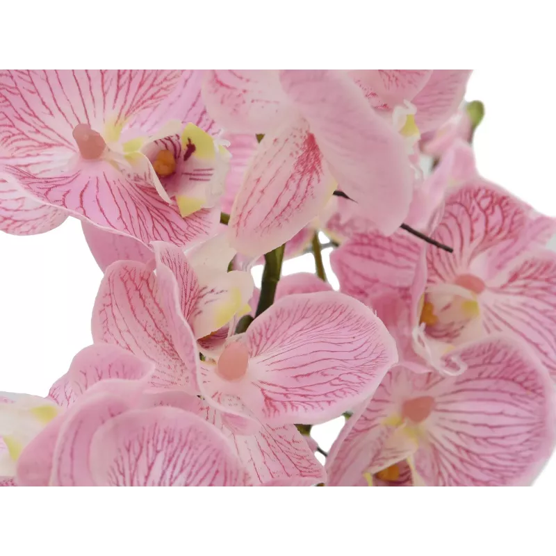 EUROPALMS Orchid Arrangement (EVA), künstlich, violett (82530339)