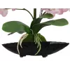 EUROPALMS Orchid Arrangement (EVA), künstlich, violett (82530339)