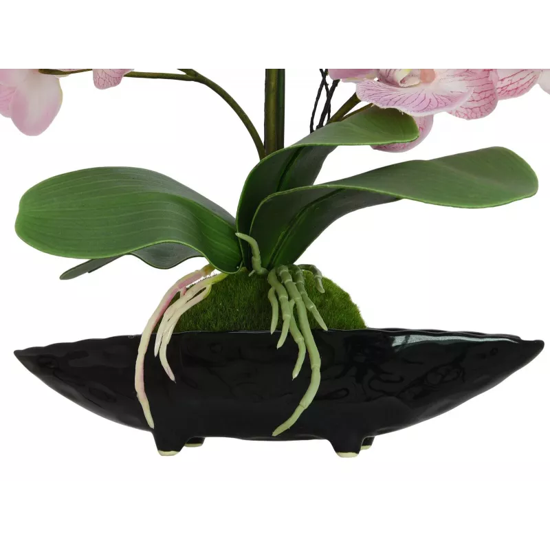 EUROPALMS Orchid Arrangement (EVA), künstlich, violett (82530339)