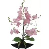 EUROPALMS Orchid Arrangement (EVA), künstlich, violett (82530339)