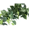 EUROPALMS Pothos Busch-Sichtschutz Classic, künstlich, 100cm 82502203