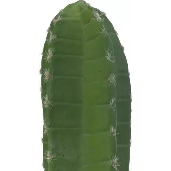 EUROPALMS Mexikanischer Kaktus Kunstpflanze, Grün, 97 cm 82801070