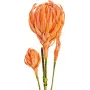 EUROPALMS Künstlicher Dahlihenzweig (EVA), Orange 82530582