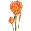 EUROPALMS Künstlicher Dahlihenzweig (EVA), Orange 82530582