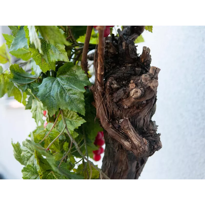 EUROPALMS Premium Künstlicher Weinrebenbusch, 50cm 82502513