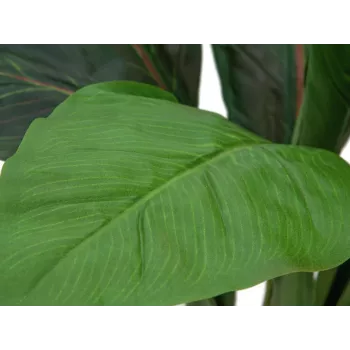 EUROPALMS Künstlicher Mangold-Busch, 45cm, Grün 82508302