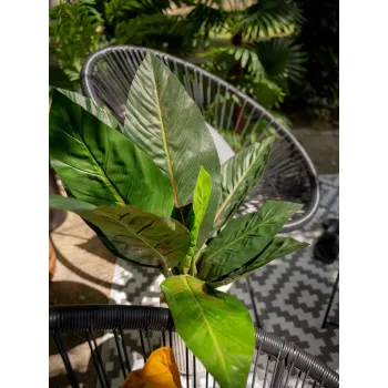 EUROPALMS Künstlicher Mangold-Busch, 45cm, Grün 82508302
