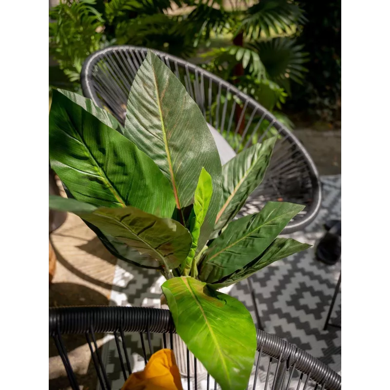 EUROPALMS Künstlicher Mangold-Busch, 45cm, Grün 82508302