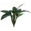 EUROPALMS Künstlicher Mangold-Busch, 45cm, Grün 82508302
