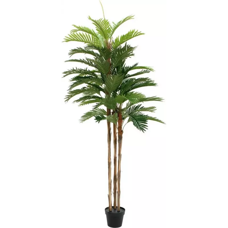 EUROPALMS Kentia-Palme Kunstpflanze 180cm 82511367