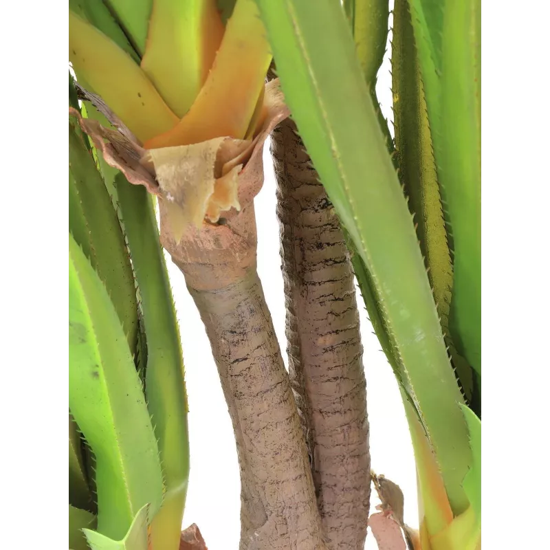 EUROPALMS Sabretooth Agave Kunstpflanze, 185cm 82600030