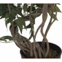 EUROPALMS Ficus Multi Spiral Trunk Kunstpflanze, 130cm 82806314