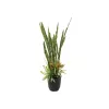 EUROPALMS Sukkulenten-Mix Kunstpflanze, 190cm 82600035