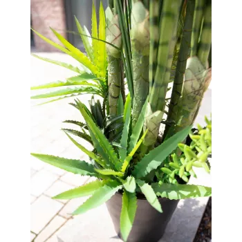 EUROPALMS Sukkulenten-Mix Kunstpflanze, 190cm 82600035