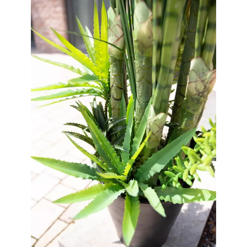 EUROPALMS Sukkulenten-Mix Kunstpflanze, 190cm 82600035