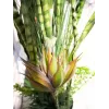 EUROPALMS Sukkulenten-Mix Kunstpflanze, 190cm 82600035