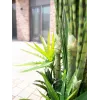 EUROPALMS Sukkulenten-Mix Kunstpflanze, 190cm 82600035