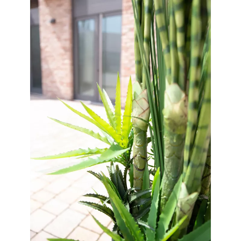 EUROPALMS Sukkulenten-Mix Kunstpflanze, 190cm 82600035