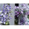 EUROPALMS Künstliche Lavendelgirlande, Violett, 180cm 82503727