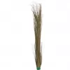 EUROPALMS Künstliches Schilfgras, Khaki, 127 cm 82505853