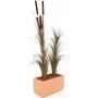 EUROPALMS Künstliches Schilfgras mit Kolben, Dunkelbraun, 152cm 82505857
