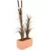 EUROPALMS Künstliches Schilfgras mit Kolben, Dunkelbraun, 152cm 82505857