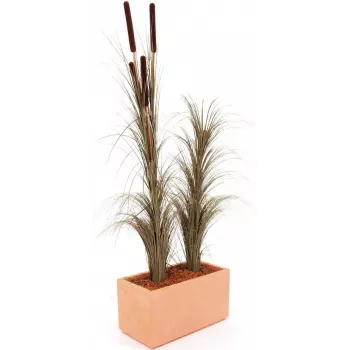 EUROPALMS Künstliches Schilfgras mit Kolben, Dunkelbraun, 152cm 82505857