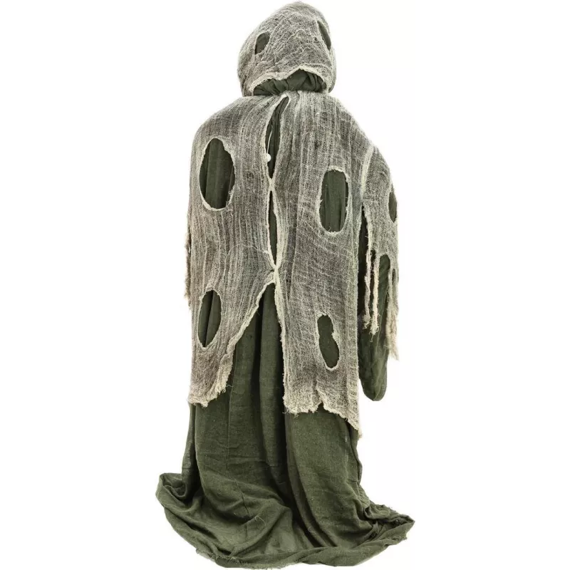 EUROPALMS Halloween-Hexe, Grün, 145x70x66cm 83314673