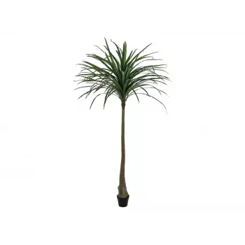 EUROPALMS Dracena Kunstpflanze, Grün, 220cm 82505798
