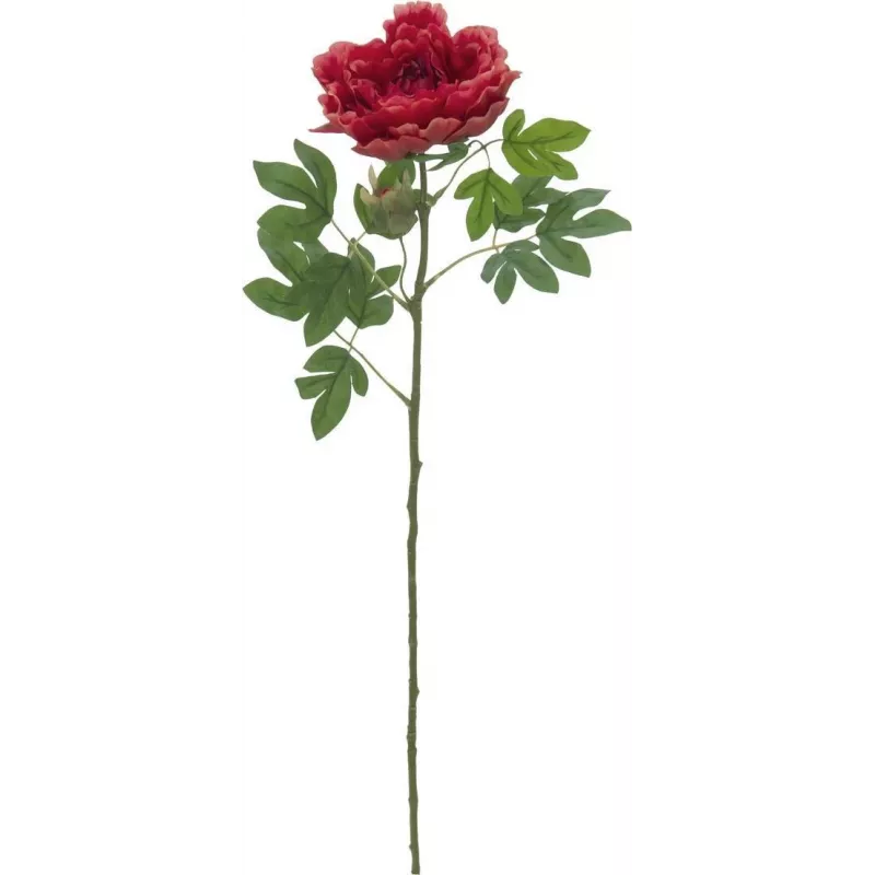 EUROPALMS Classic Peony Branch Künstliche Pflanze, Magenta, 80cm 82530211