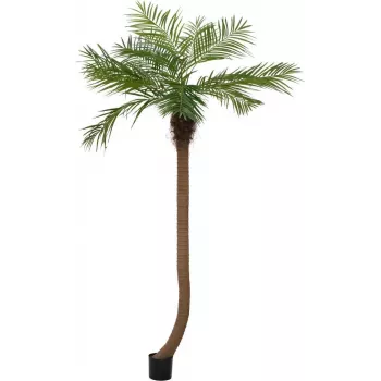 EUROPALMS Luxor Geschwungene Künstliche Phoenixpalme, 240cm 82510726