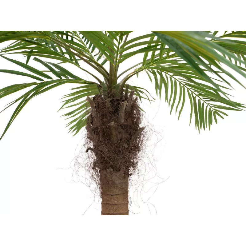 EUROPALMS Luxor Geschwungene Künstliche Phoenixpalme, 240cm 82510726