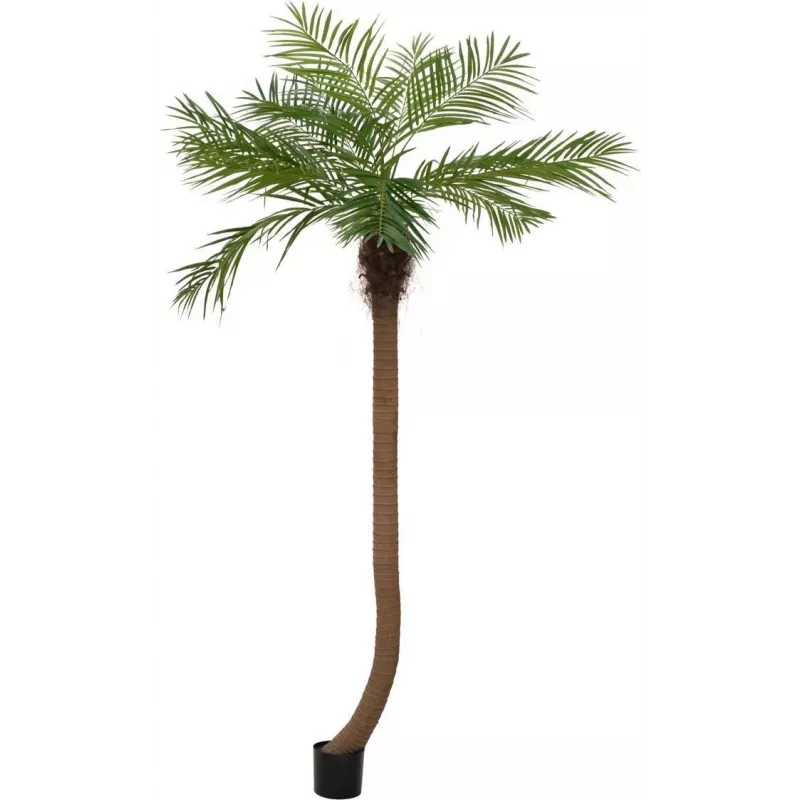 EUROPALMS Luxor Geschwungene Künstliche Phoenixpalme, 240cm 82510726